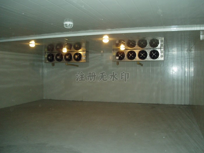 301603087842.jpg